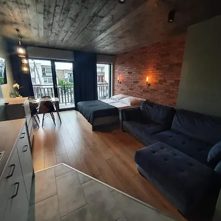 Апартаменты Loft 66 Владыславово