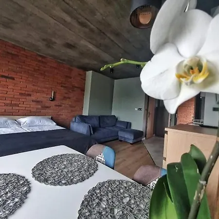 Loft 66 公寓 Władysławowo