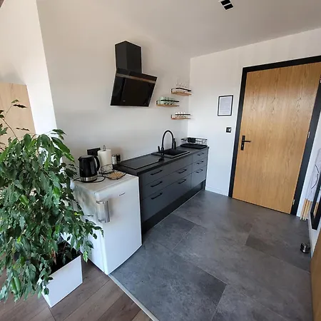 Loft 66 Апартаменты *