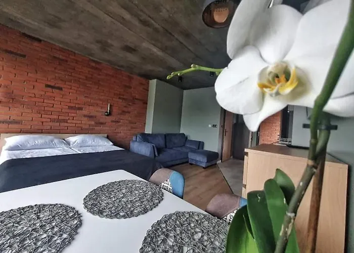 Loft 66 Apartmán Władysławowo